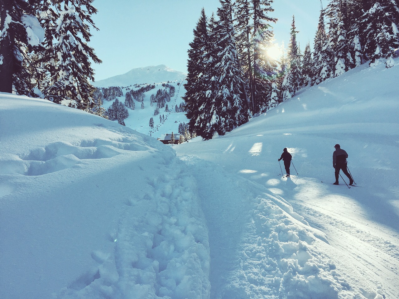 Bend Activity Providers